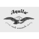 Aquila